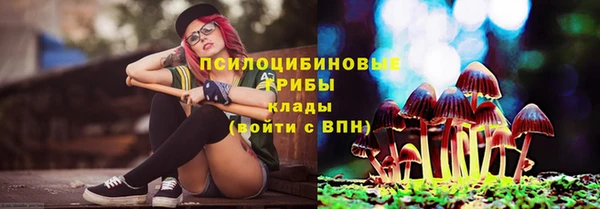 метадон Абаза