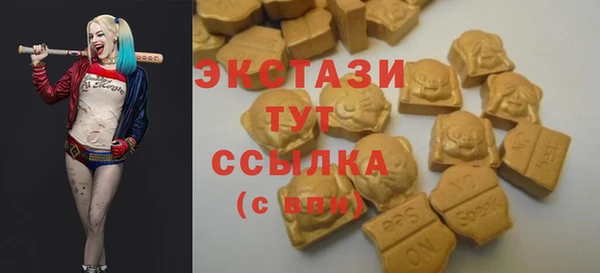 дмт Мегион