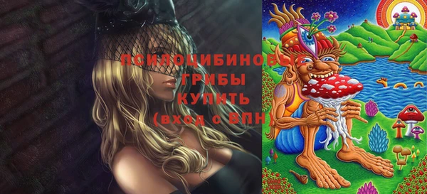 дмт Мегион