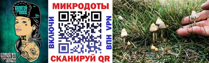 Галлюциногенные грибы прущие грибы  цены наркотик  Ленинградская 